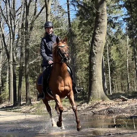 De Luxe Роскошный шатер *